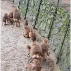 Sóstó Zoo - Nyíregyházi Állatpark Nyíregyháza - Egyéb