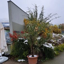 Sóstó Zoo - Nyíregyházi Állatpark, Nyíregyháza - Egyéb