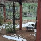 Sóstó Zoo - Nyíregyházi Állatpark Nyíregyháza - Egyéb