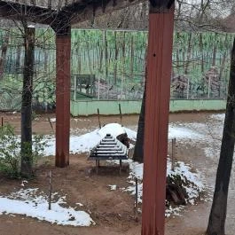 Sóstó Zoo - Nyíregyházi Állatpark, Nyíregyháza - Egyéb