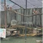 Sóstó Zoo - Nyíregyházi Állatpark Nyíregyháza - Egyéb