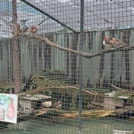 Sóstó Zoo - Nyíregyházi Állatpark, Nyíregyháza - Egyéb