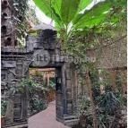 Sóstó Zoo - Nyíregyházi Állatpark Nyíregyháza - Egyéb