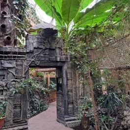 Sóstó Zoo - Nyíregyházi Állatpark, Nyíregyháza - Egyéb