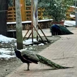 Sóstó Zoo - Nyíregyházi Állatpark, Nyíregyháza - Egyéb