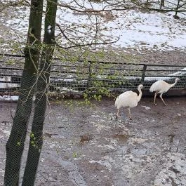 Sóstó Zoo - Nyíregyházi Állatpark, Nyíregyháza - Egyéb