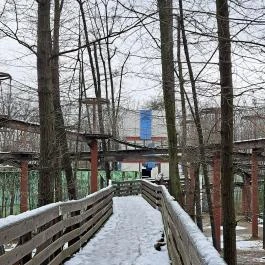 Sóstó Zoo - Nyíregyházi Állatpark, Nyíregyháza - Egyéb