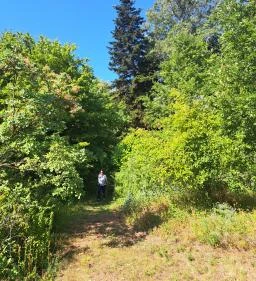 Soroksári Botanikus Kert