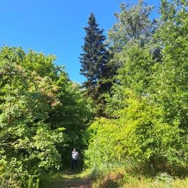 Soroksári Botanikus Kert Budapest - Egyéb