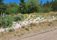 Soroksári Botanikus Kert Budapest