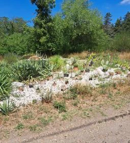Soroksári Botanikus Kert