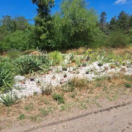 Soroksári Botanikus Kert Budapest - Egyéb