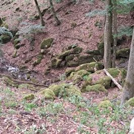 Szádvár - Fellegvár Szögliget - Külső kép
