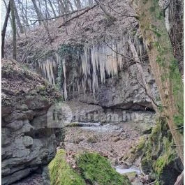 Szakadás-árok Tar - Egyéb