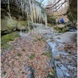 Szakadás-árok Tar - Egyéb