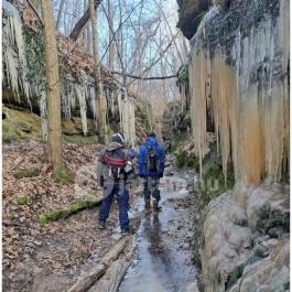 Szakadás-árok Tar - Egyéb