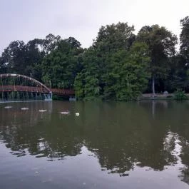 Szarvasi Vízi Színház, Szarvas - Egyéb