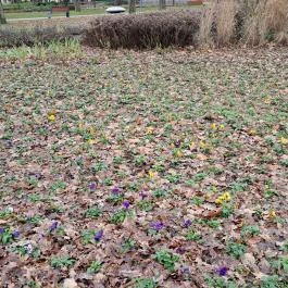 Szent István Park Hajdúszoboszló - Egyéb