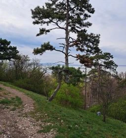 Szent Mihály kápolna és domb