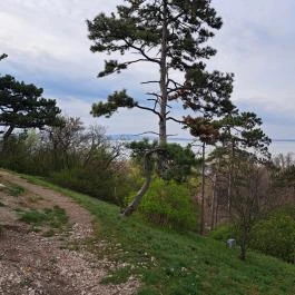 Szent Mihály kápolna és domb Vonyarcvashegy - Egyéb