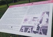 Szigeterdő Dombóvár