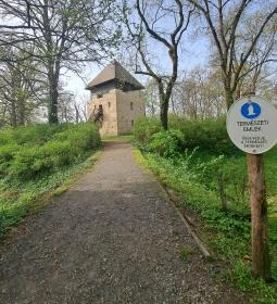 5. legjobb látnivaló: Szigeterdő