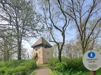 Szigeterdő Dombóvár