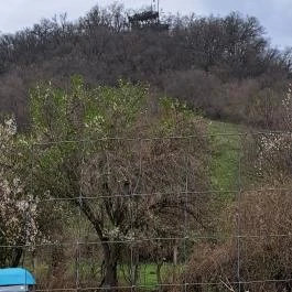 Szigligeti Óvár-kilátó, Szigliget - Egyéb