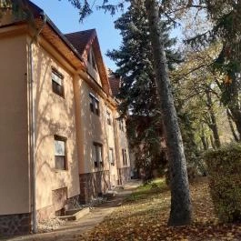 Wellness Hotel Szindbád , Balatonszemes - Egyéb