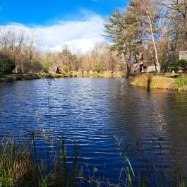 Sződligeti Mesetó Sződliget - Egyéb