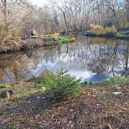 Sződligeti Mesetó Sződliget - Egyéb