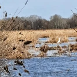 Tanösvény Lipót - Egyéb