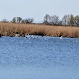 Tanösvény Lipót - Egyéb
