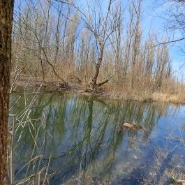 Tanösvény Lipót - Egyéb