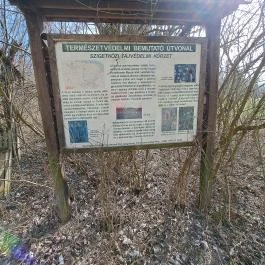 Tanösvény Lipót - Egyéb