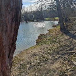 Tanösvény Lipót - Egyéb