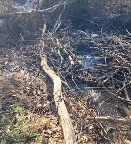 Fási-kert környezetismereti tanösvény