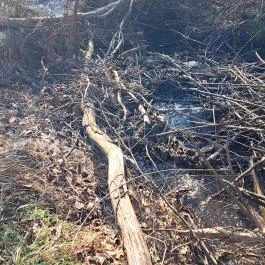 Fási-kert környezetismereti tanösvény Bag - Egyéb