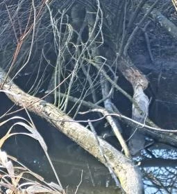 Fási-kert környezetismereti tanösvény