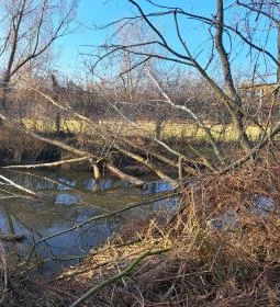 Fási-kert környezetismereti tanösvény