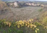 Tarpai-Nagyhegy Tarpa