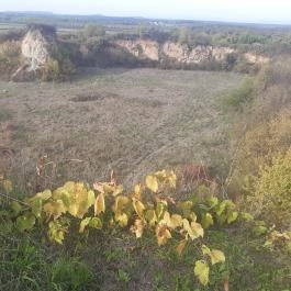 Tarpai-Nagyhegy Tarpa - Külső kép