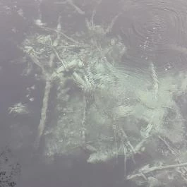 Tatai Fényes tanösvény, Tata - Egyéb