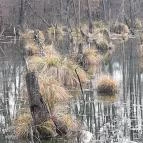 Tatai Fényes tanösvény Tata - Egyéb