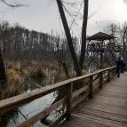 Tatai Fényes tanösvény Tata - Egyéb