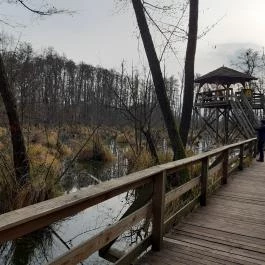 Tatai Fényes tanösvény, Tata - Egyéb