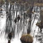 Tatai Fényes tanösvény Tata - Egyéb