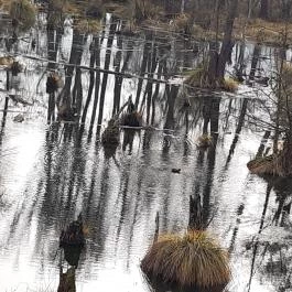 Tatai Fényes tanösvény, Tata - Egyéb