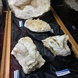 Tatai vár Tata - Egyéb