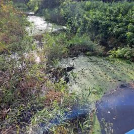 Teknős tanösvény Dunakeszi - Egyéb